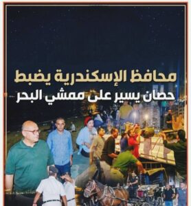 محافظ الإسكندرية