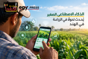 الذكاء الاصطناعي الصغير يُحدث ثورة هادئة في الزراعة الهندية